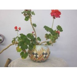 Mexican Planter (PLA-6)