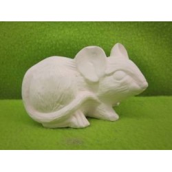 Mouse Laying (WIL-23)