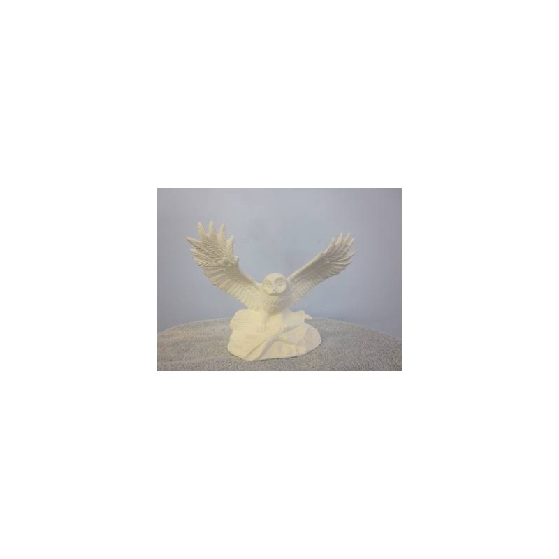 barn-owl