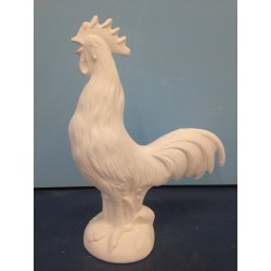Chicken Rooster Crowing (BIR-47)