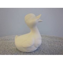 Rubber Duck (BIR-29)