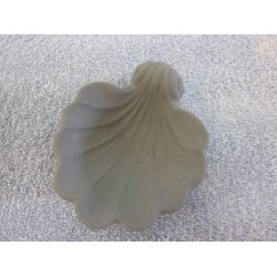 shell-plate-medium
