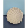shell-plate-striped