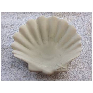 shell-plate-with-starfish