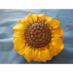 sunflower-box