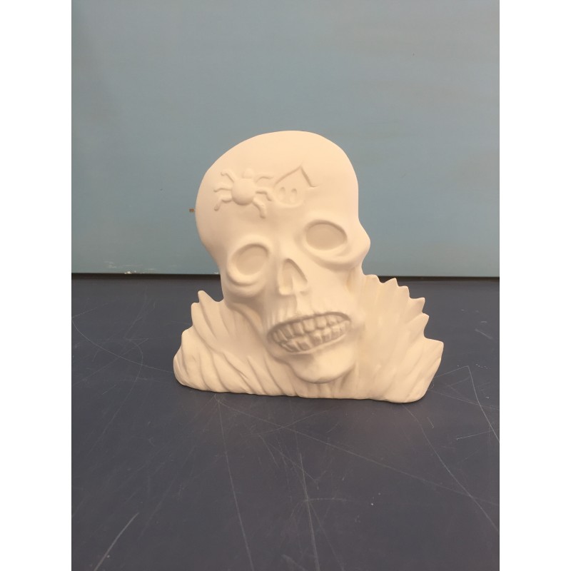 Skull with Spider Blinkie