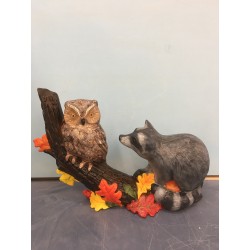 owl-and-raccoon-on-tree