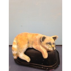 Cat Shelfie Laying (CAT-48)