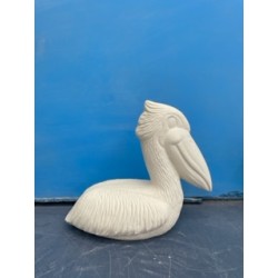 paul pelican