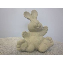 bunny-sitting-big-feet-small