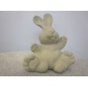bunny-sitting-big-feet-small