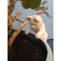 Cat Pot Hanger (CAT-30)