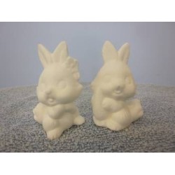 carrot-and-flower-bunnies