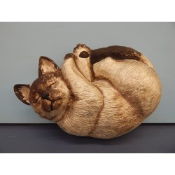 cat-sleeping-on-back