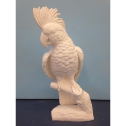 Cockatoo (BIR-57)