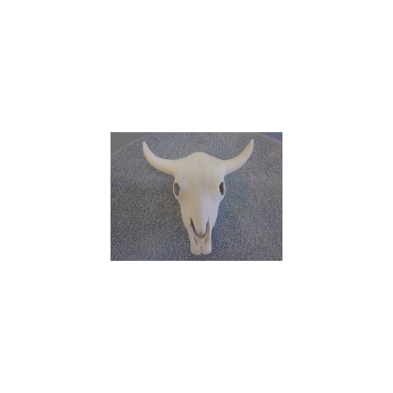 cow-skull-large