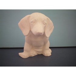 Dachshund Puppy (DOG-11)