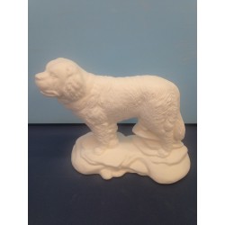 St. Bernard (DOG-16)