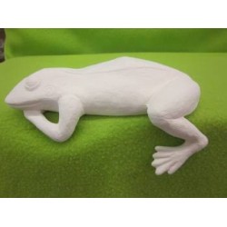 frog-shelf