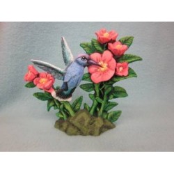hummingbird-on-flower