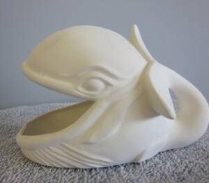 Whale Wide Mouth (NAU-37)