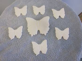 7 Flat Butterflies (BIR-76)