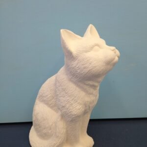 Cat Sitting (CAT-40)