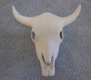 Cow Skull Large (IND-21)