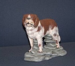 St. Bernard (DOG-16)